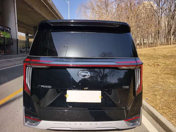 Фото 4 - GAC Trumpchi M8