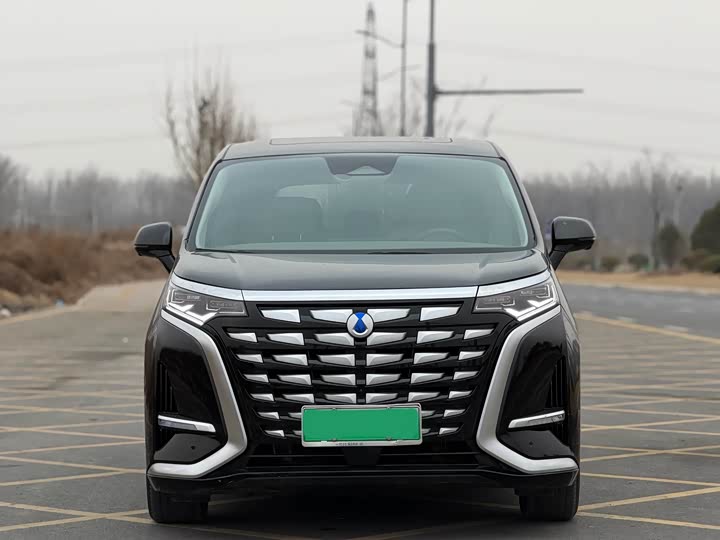 Фото 2 - Denza D9