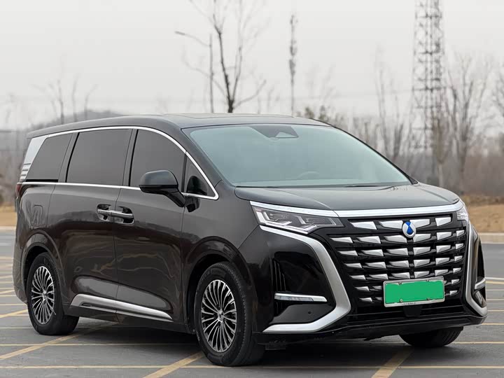 Фото 3 - Denza D9