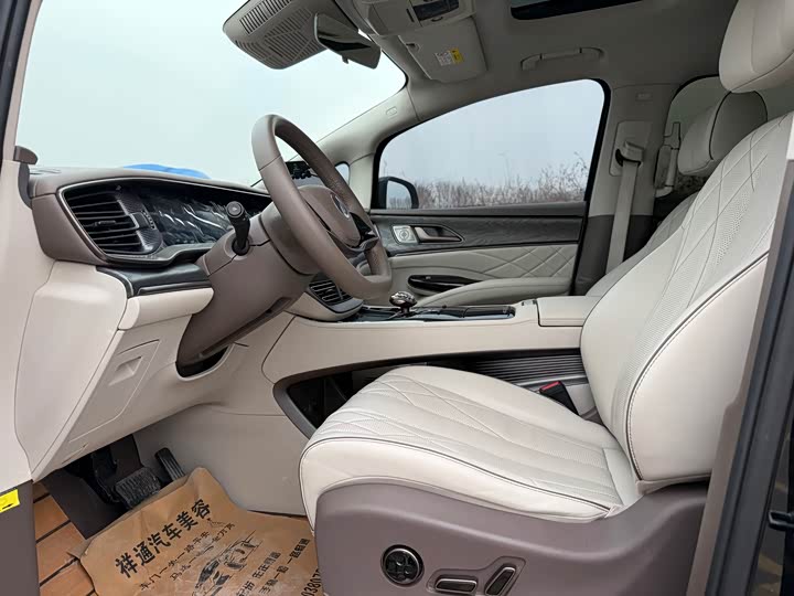 Фото 4 - Denza D9