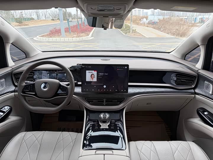 Фото 6 - Denza D9