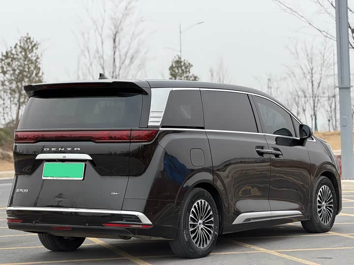 Фото 7 - Denza D9