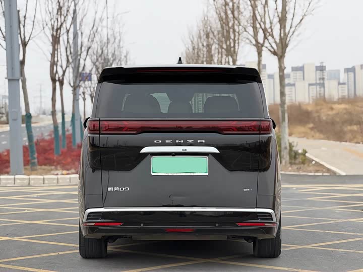 Фото 8 - Denza D9