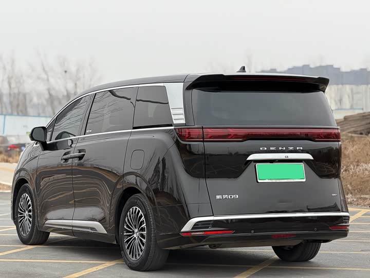 Фото 9 - Denza D9