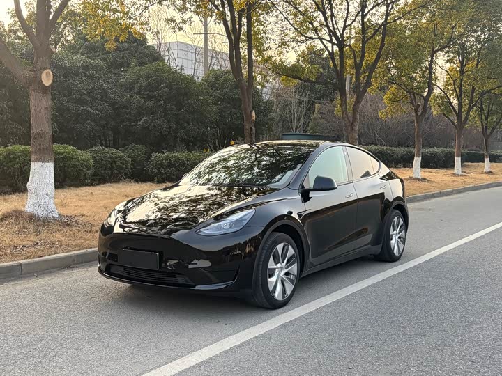 Фото 1 - Tesla Model Y