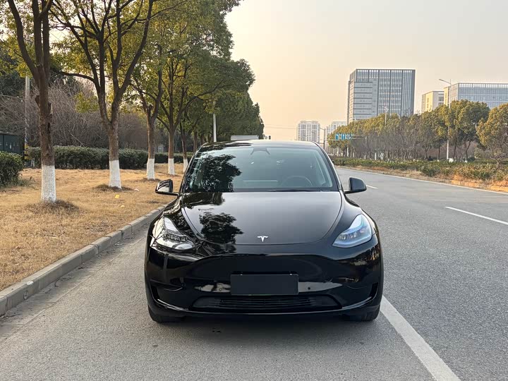 Фото 2 - Tesla Model Y