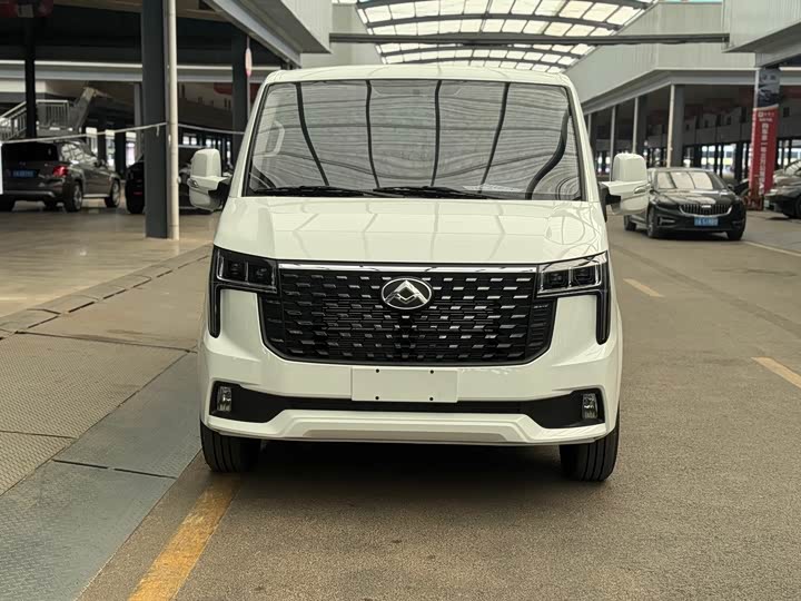 Фото 2 - Maxus V80 RV