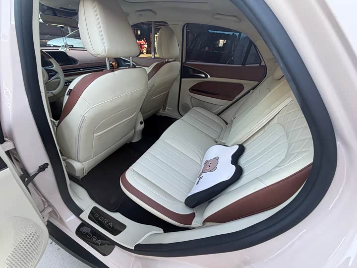 Фото 6 - Ora Good Cat (03)