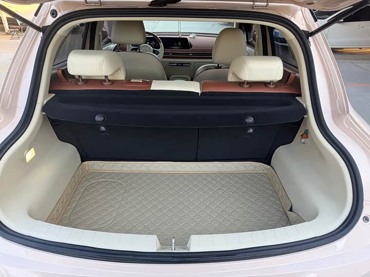 Фото 7 - Ora Good Cat (03)