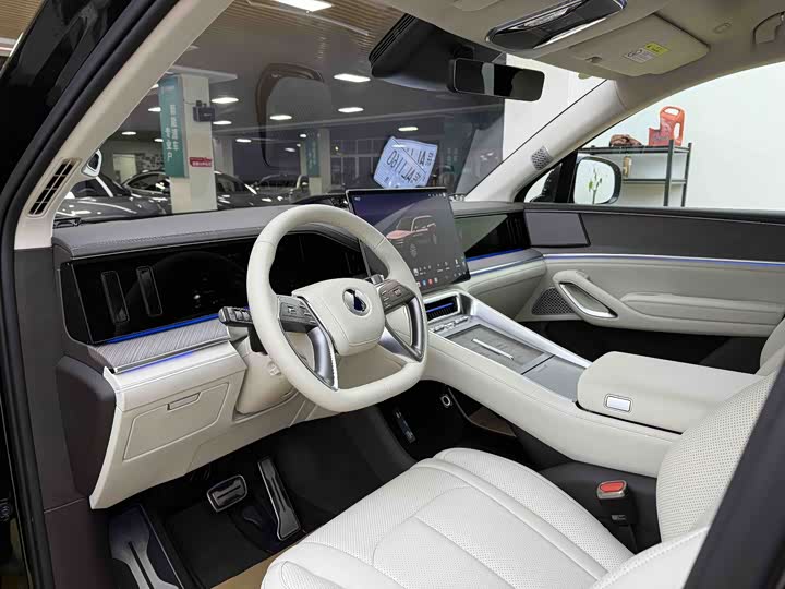 Фото 5 - Denza N9