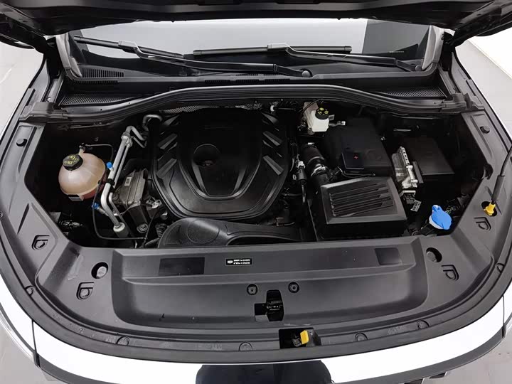 Фото 6 - Geely Okavango L