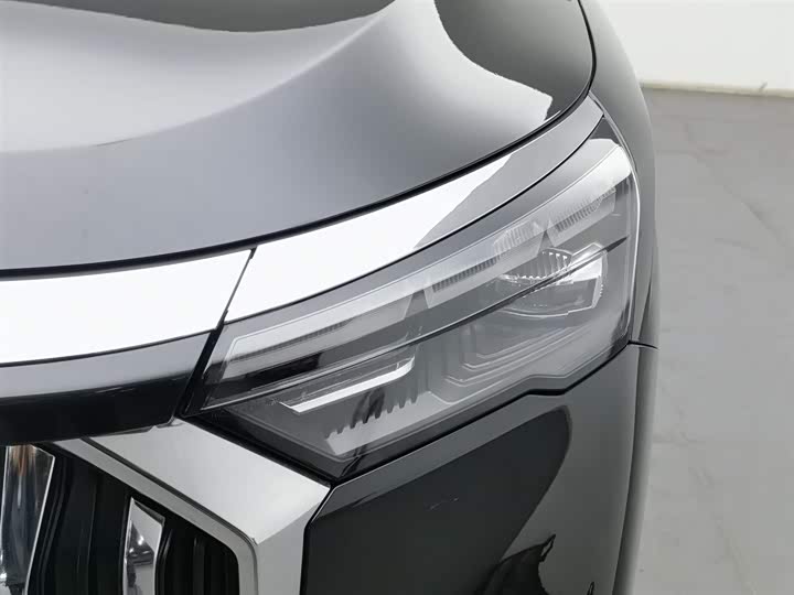 Фото 7 - Geely Okavango L