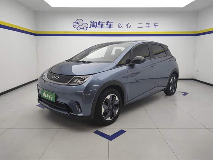 Фото 1 - BYD Dolphin