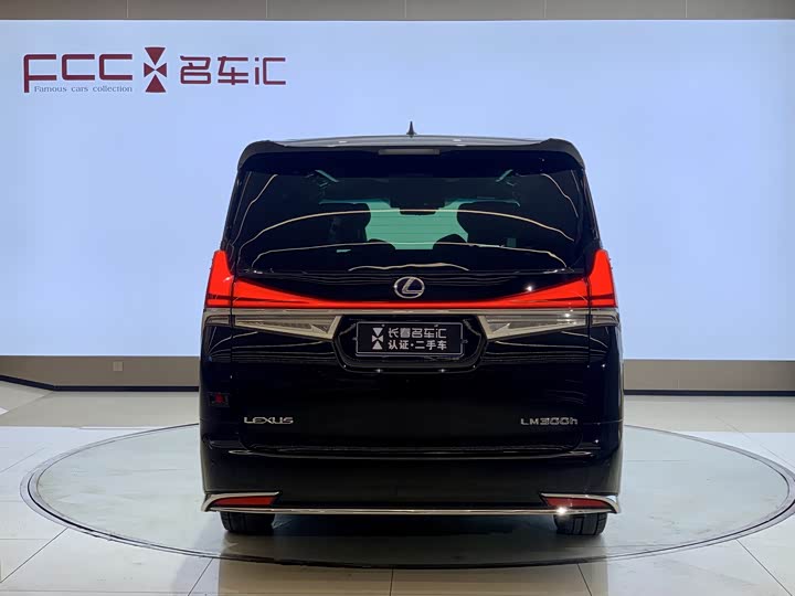 Фото 5 - Lexus LM