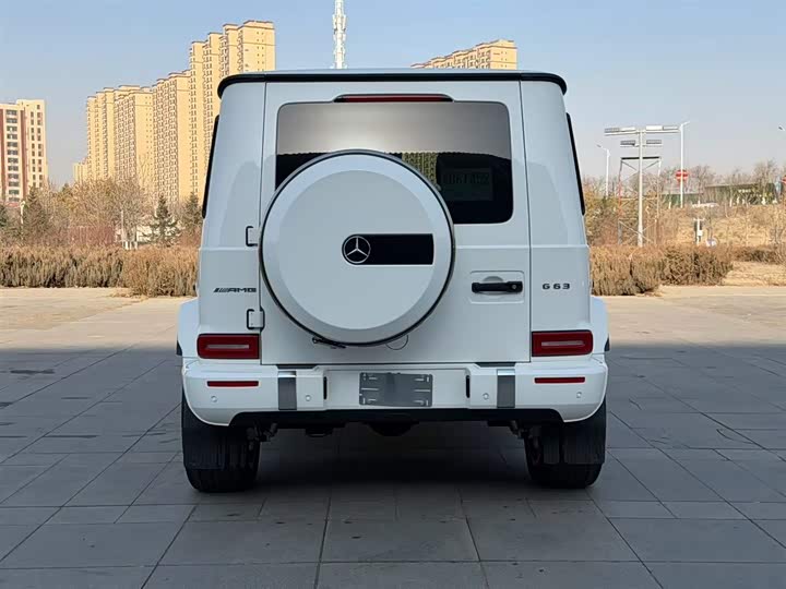 Фото 7 - Mercedes-Benz G-Class AMG