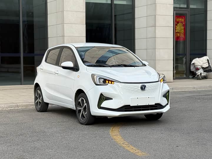 Фото 3 - Changan BenBen E-Star