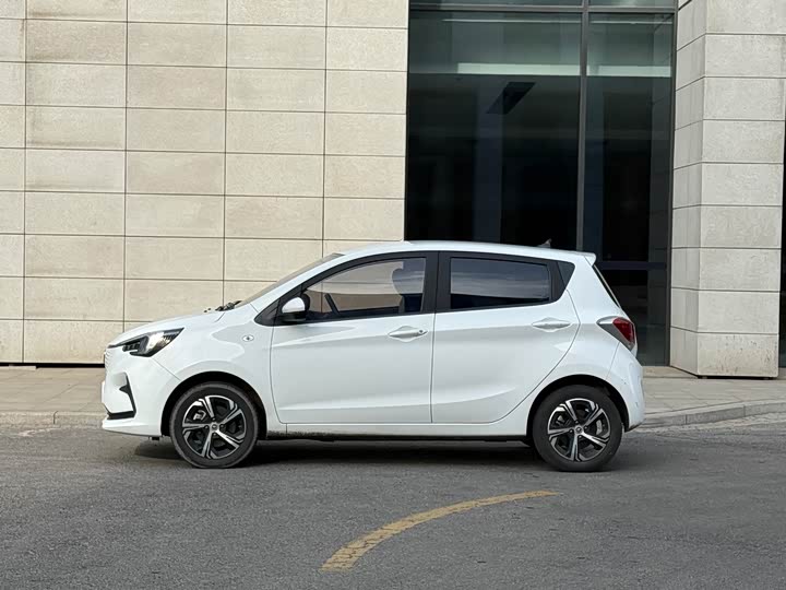 Фото 4 - Changan BenBen E-Star