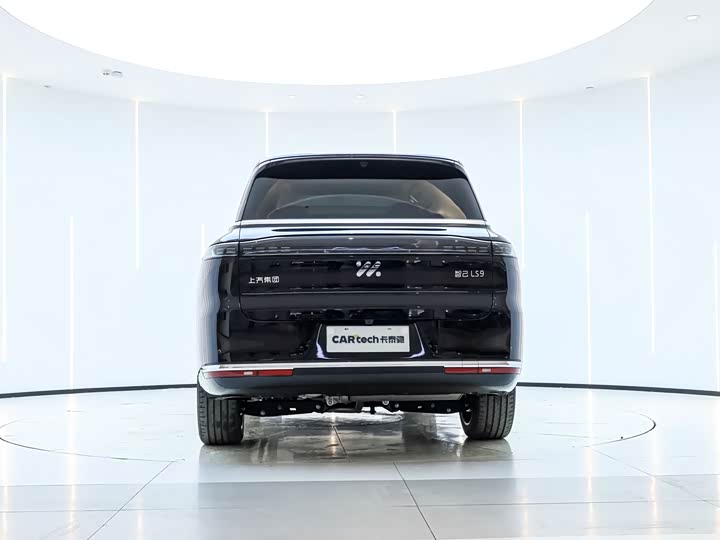 Фото 3 - IM motors LS9