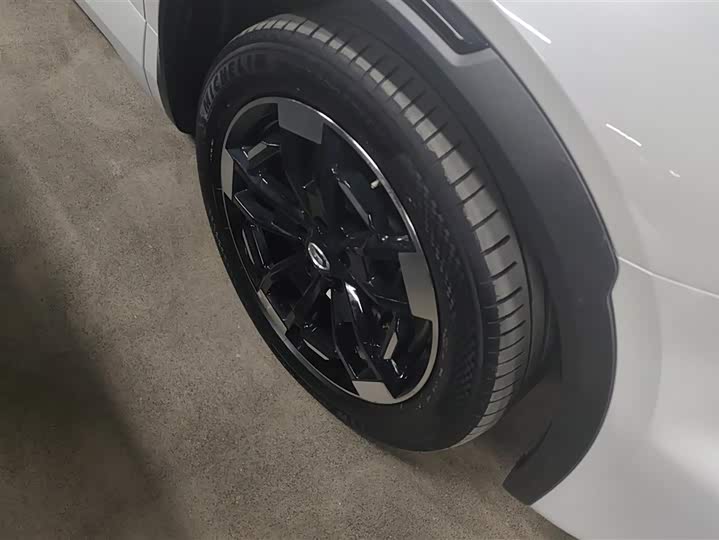 Фото 6 - GAC Trumpchi ES9