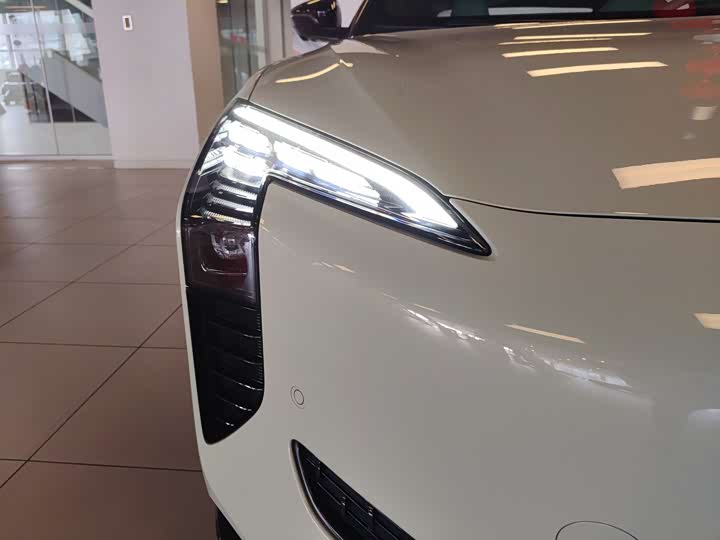 Фото 4 - Hongqi EH7