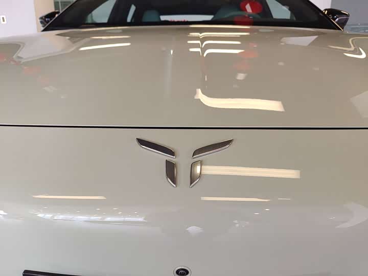 Фото 5 - Hongqi EH7