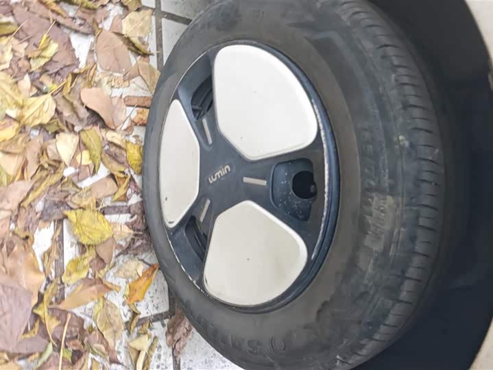 Фото 6 - Changan Qiyuan (Nevo) Lumin