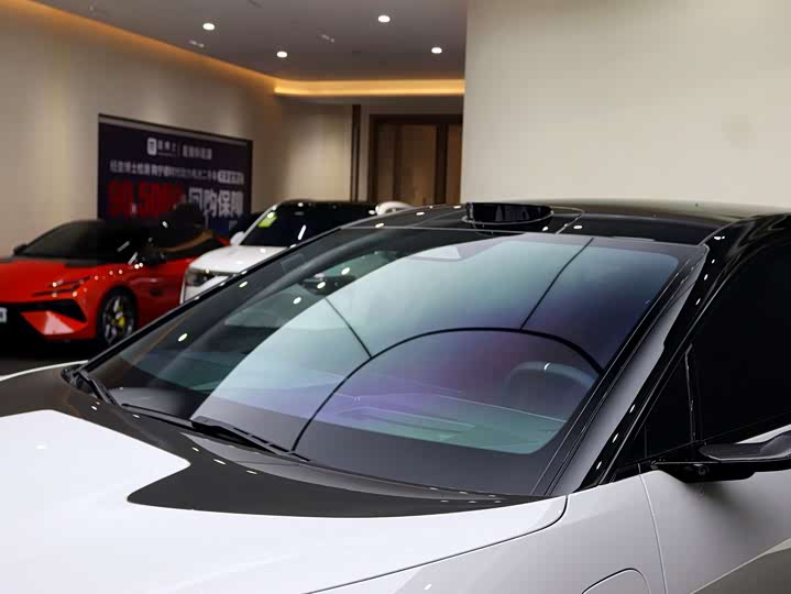 Фото 6 - Lotus Eletre