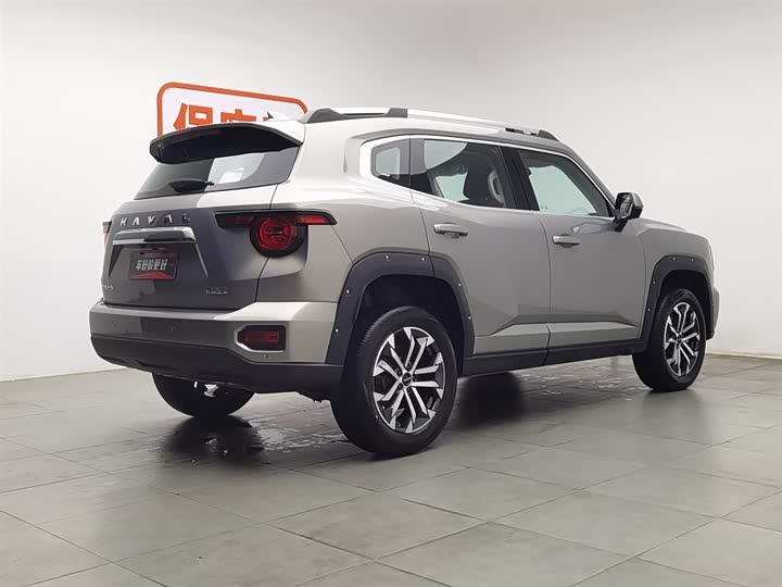 Фото 2 - Haval H-Dog