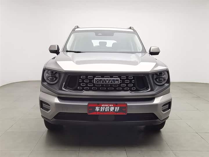 Фото 3 - Haval H-Dog