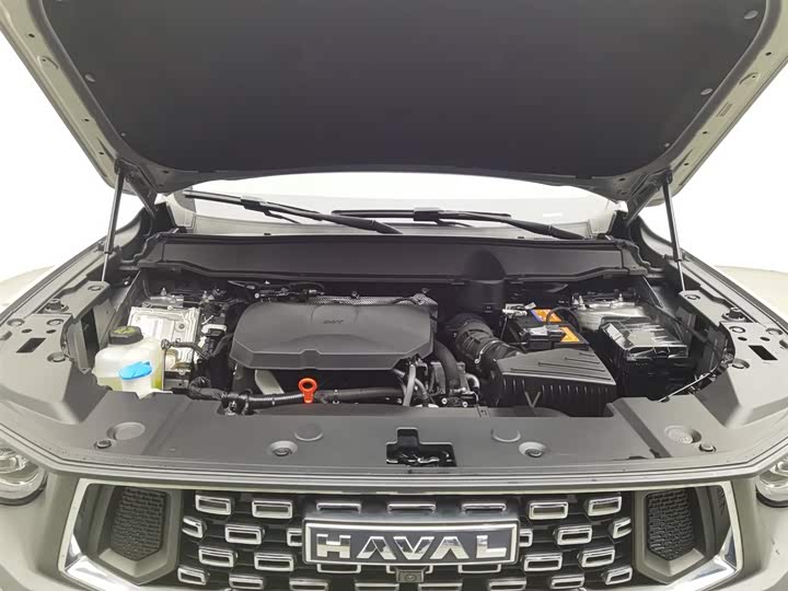 Фото 6 - Haval H-Dog