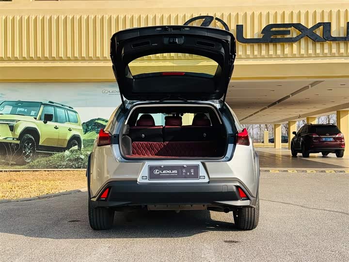 Фото 8 - Lexus UX