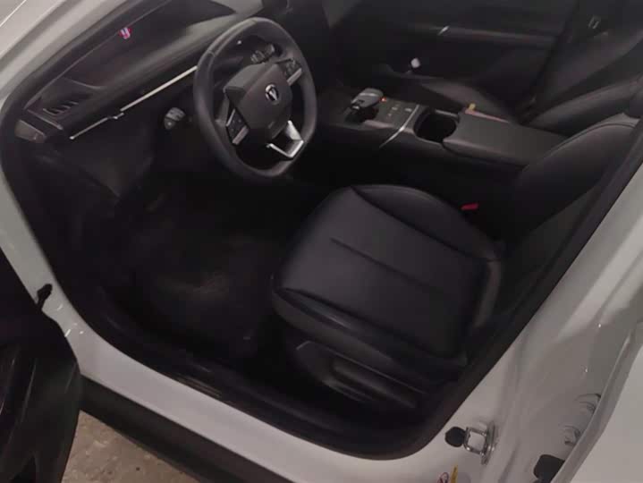 Фото 9 - Changan Eado Plus