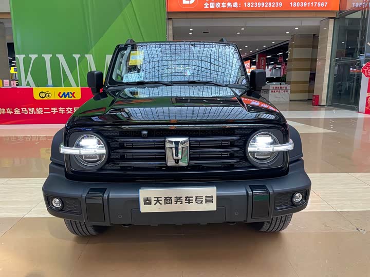 Фото 2 - Tank 300