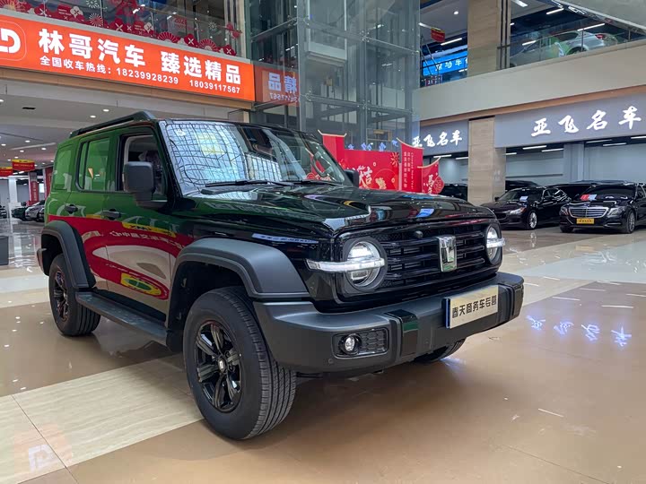 Фото 3 - Tank 300