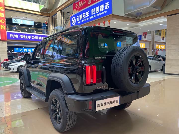 Фото 5 - Tank 300