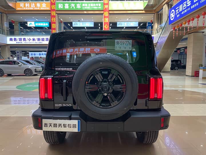 Фото 6 - Tank 300