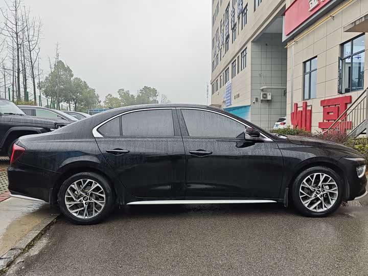 Фото 2 - Hyundai Mistra