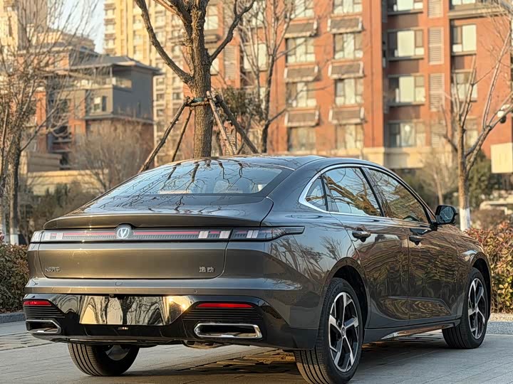 Фото 6 - Changan Eado Plus