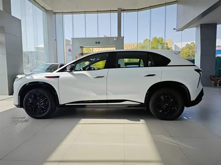 Фото 3 - Hongqi EHS7 (Tiangong 08)