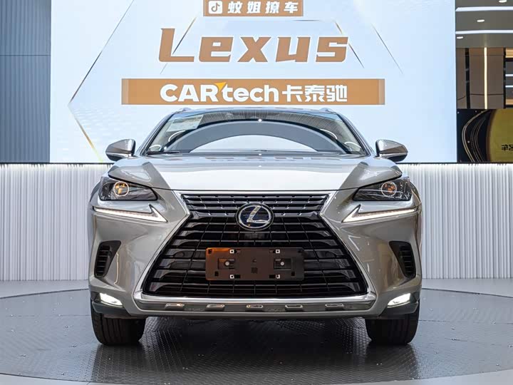 Фото 1 - Lexus NX
