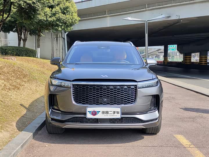 Фото 2 - LiXiang One