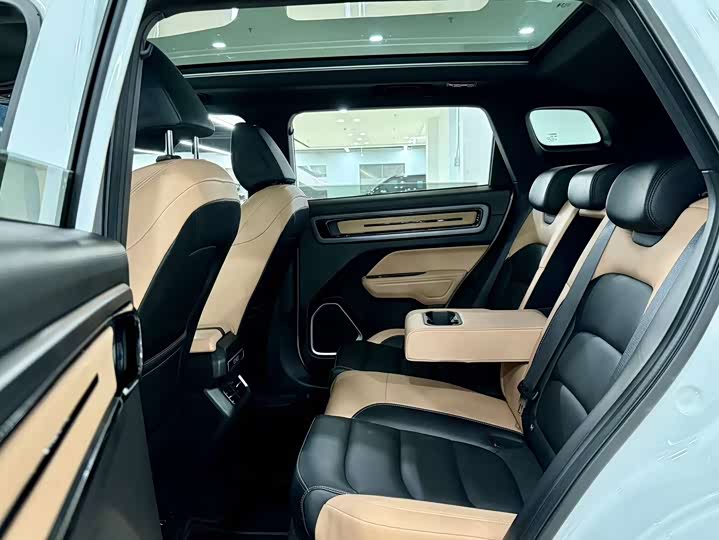 Фото 7 - Geely Icon