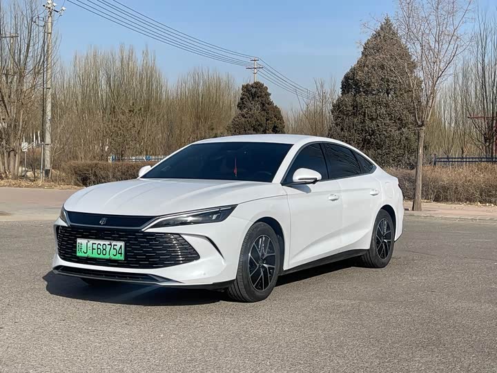 Фото 1 - BYD Qin L