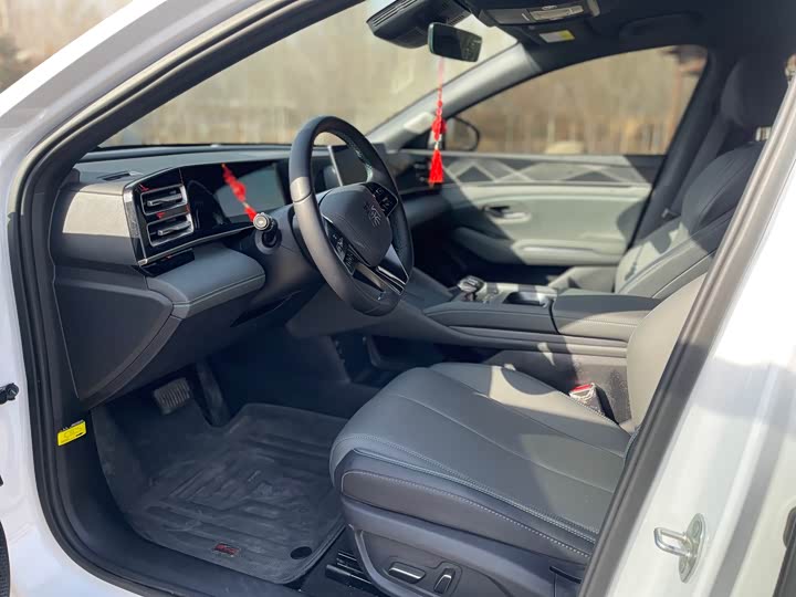 Фото 7 - BYD Qin L