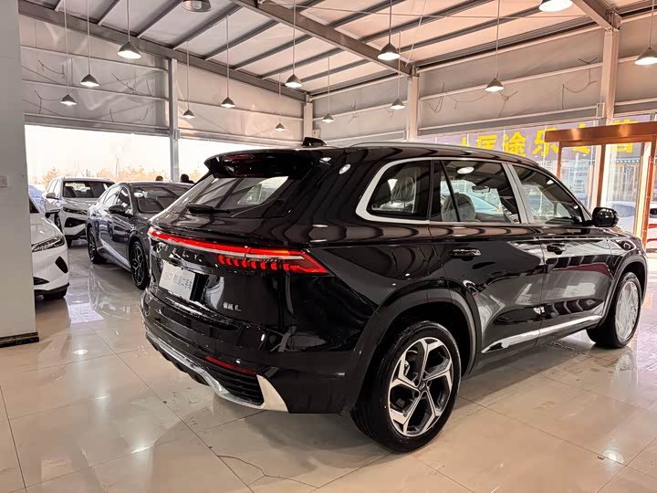 Фото 5 - Geely Monjaro