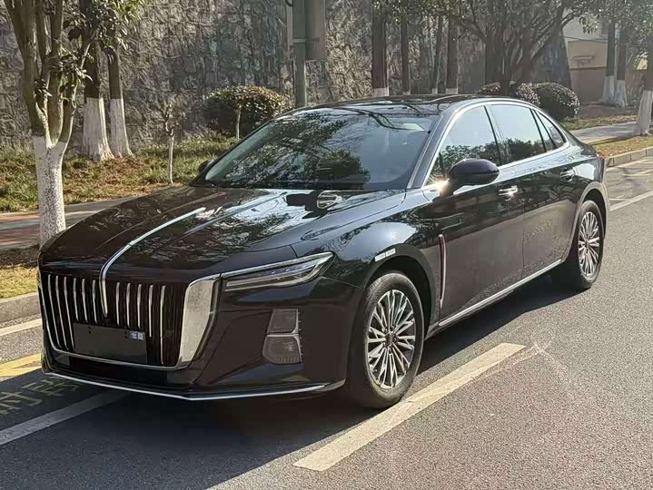 Фото 1 - Hongqi H5