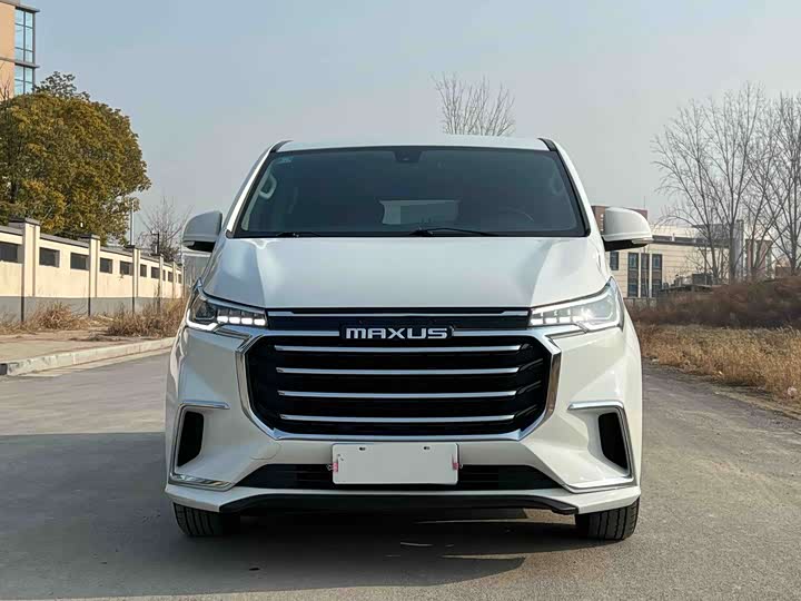 Фото 2 - Maxus G20