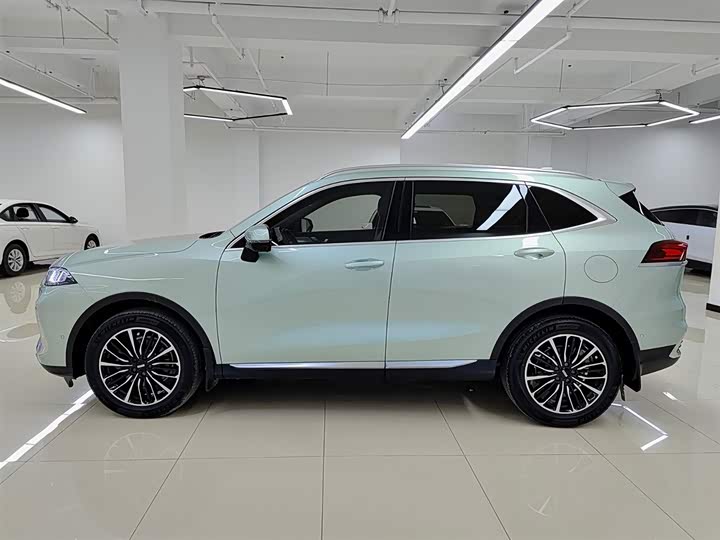 Фото 3 - Wey Latte DHT