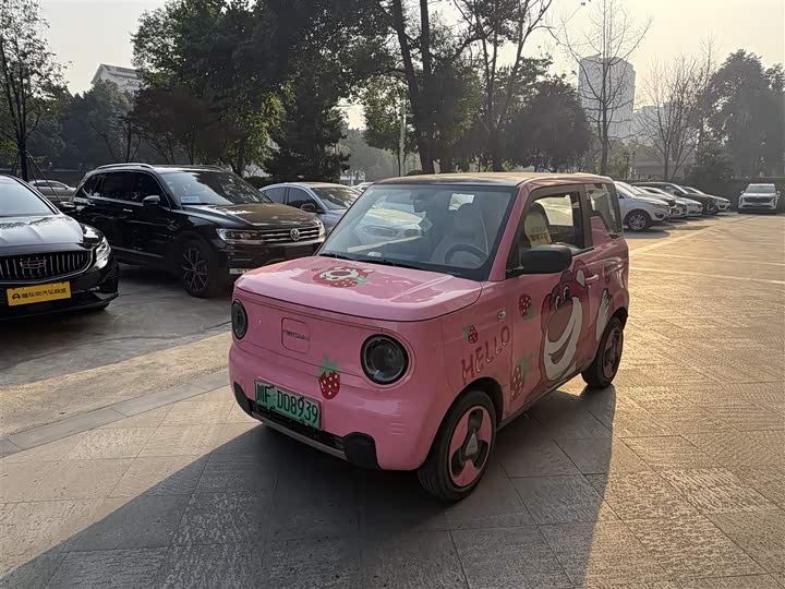 Фото 1 - Geely Galaxy Panda Mini