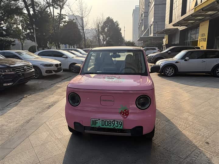 Фото 2 - Geely Galaxy Panda Mini